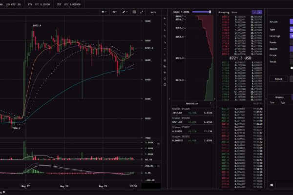 Что такое kraken в россии
