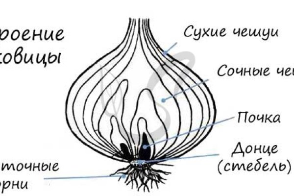 Сайт кракен официальный ссылка onion