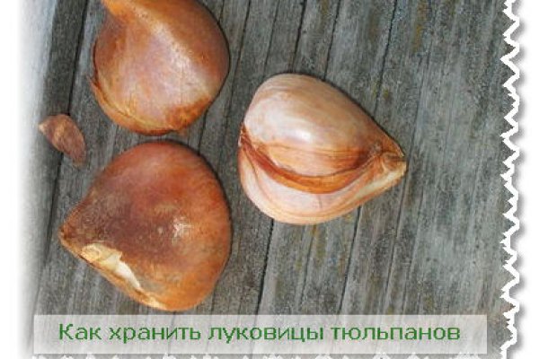 Работающий сайт кракен