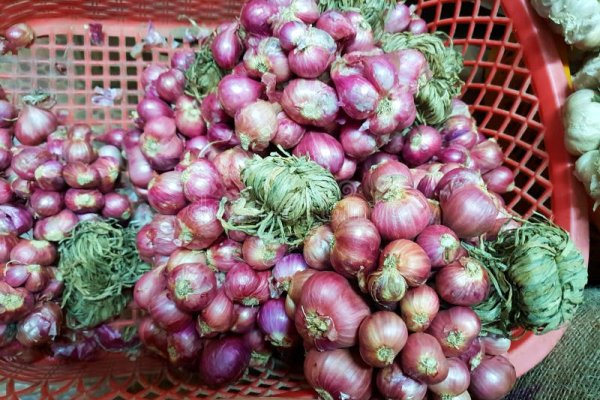 Ссылка на кракен onion kraken dark link