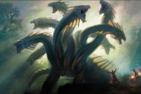 Kraken site