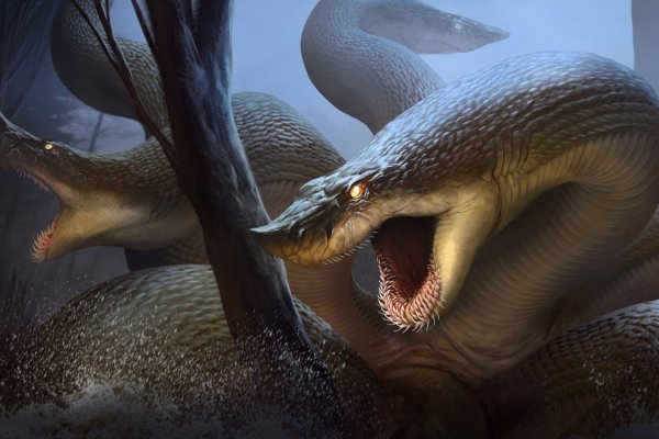 Kraken 18