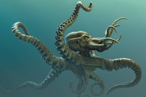 Kraken krn